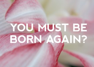You Must Be Born Again?