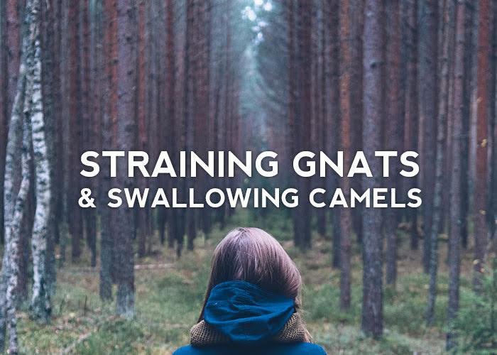 STRAINING GNATS & SWALLOWING CAMELS