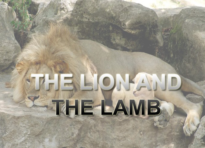 THE LION AND THE LAMB
